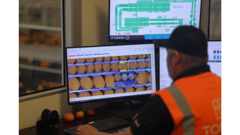 New LUCAi Tech Transforms Citrus Grading Process _packaging